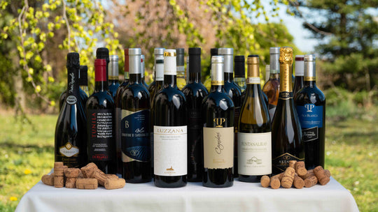 Jak jsme do Česka přivezli víno ze Sardinie a založili obchod Yvíno